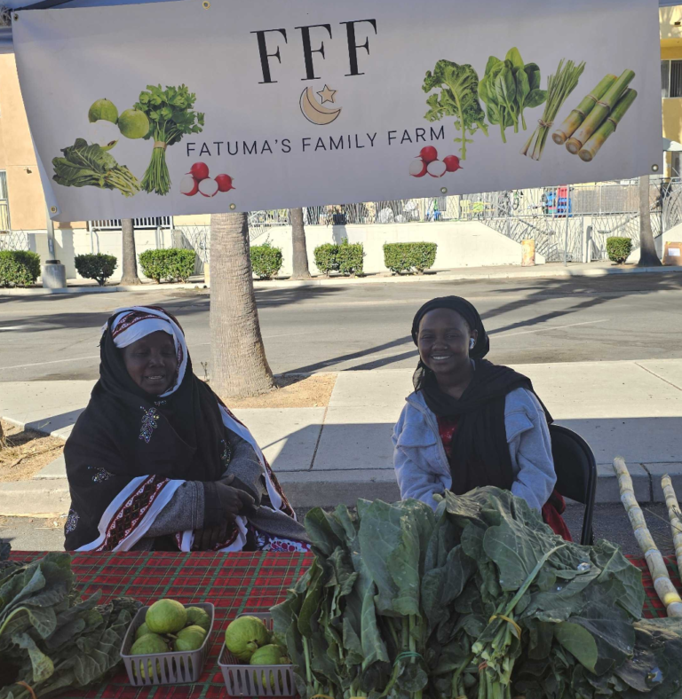 Fatuma's Family Farm